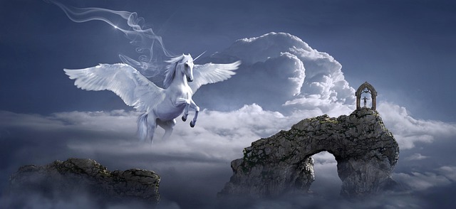 dream