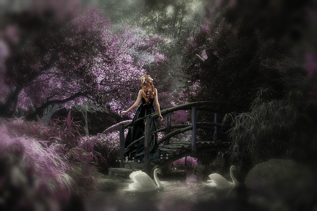 dream