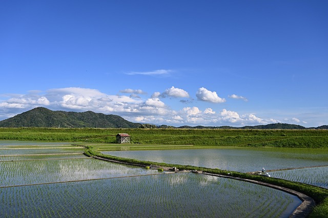 青空